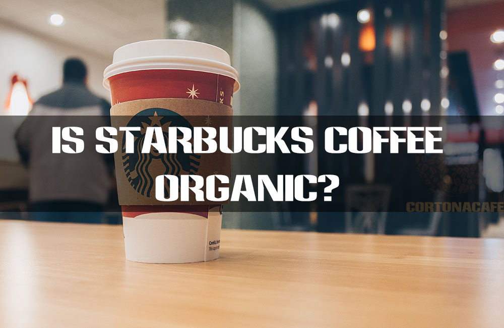 Is Starbucks coffee organic? (Secrets you need to know) Your Taste